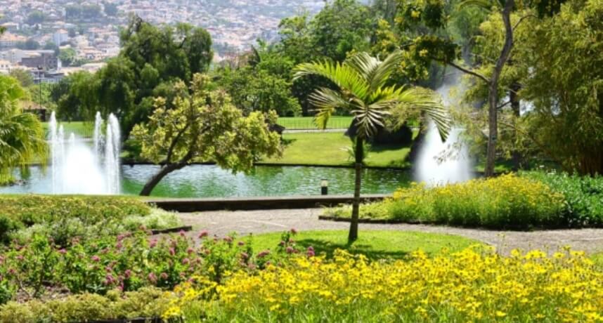 Atividades para crianças na Madeira - parque santa catarina